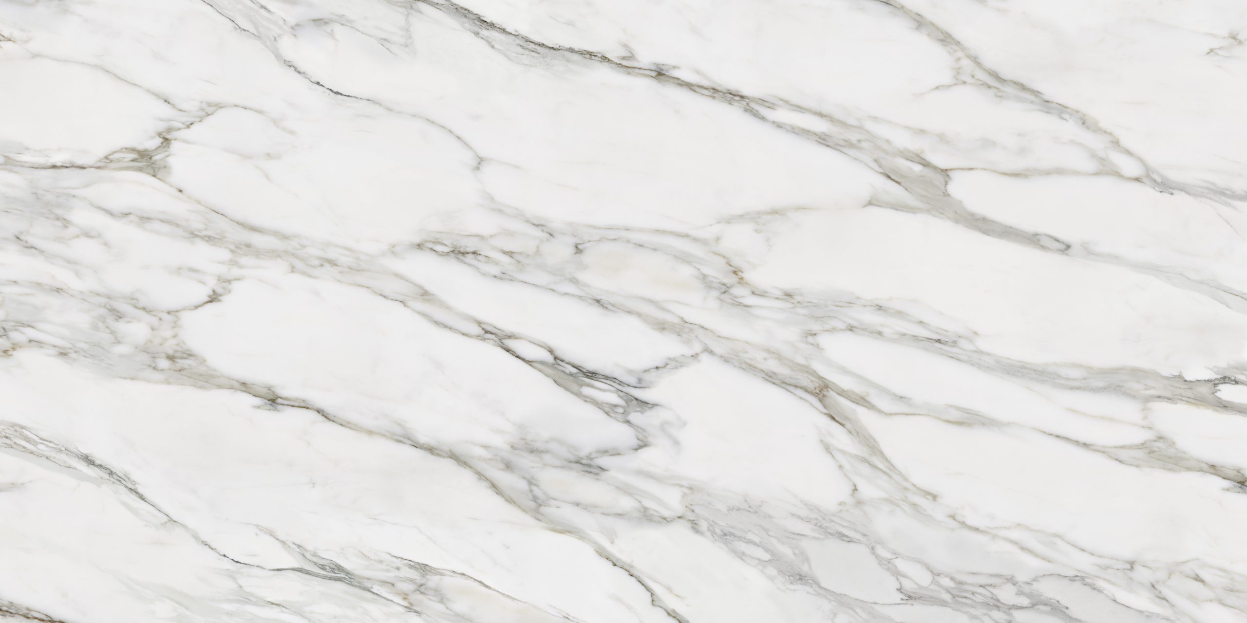 Calacatta Borghini